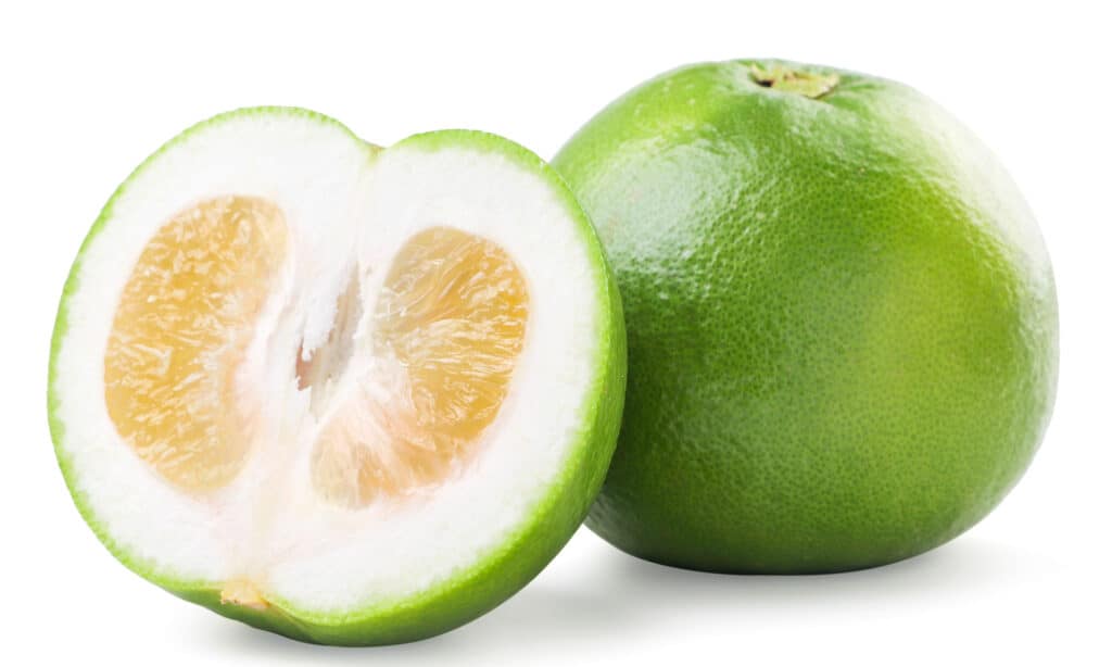 large green citrus fruit