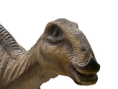 A Dinosaurs That Lived in Iowa (And Where to See Fossils Today)