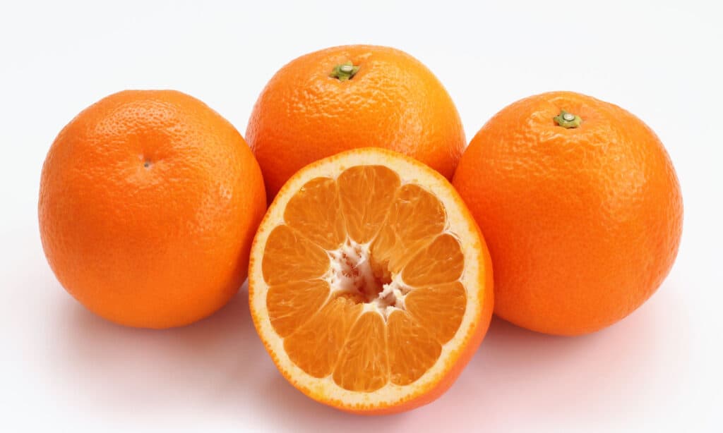 iyokan orange