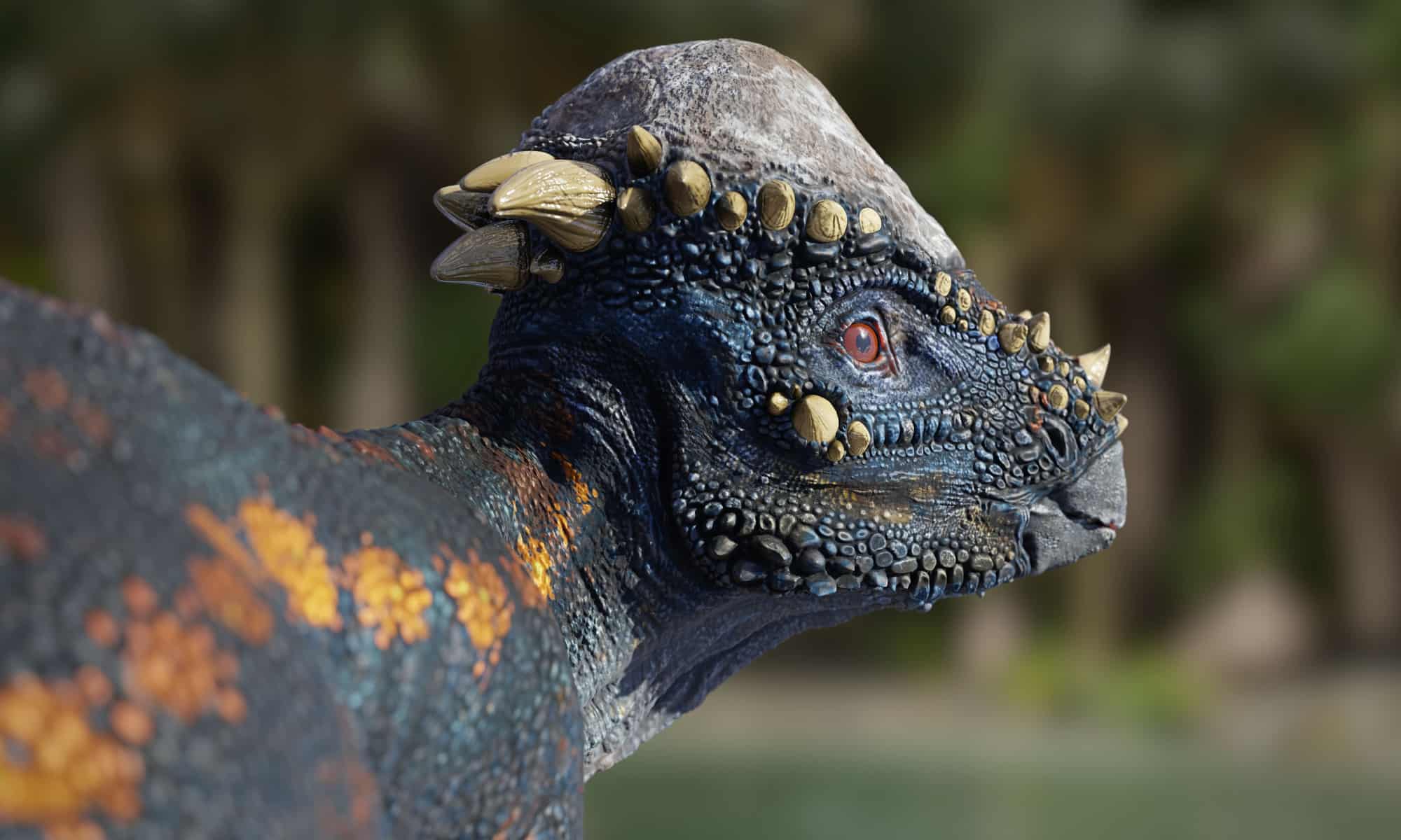 Meet The Pachycephalosaurus The Dinosaur With A Hard Head A Z Animals Meet The Pachycephalosaurus The Dinosaur With A Hard Head A Z Animals