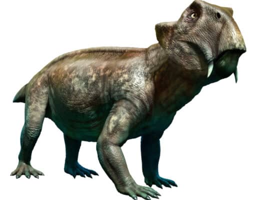 Discover 5 Incredible Permian Period Animals: Facts, Information, and ...