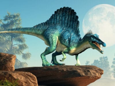 A Spinosaurus