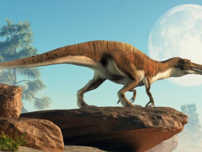 A The Largest Ever Land Dinosaur in Europe Was A Crocodile-Faced Predator That Walked On Two legs