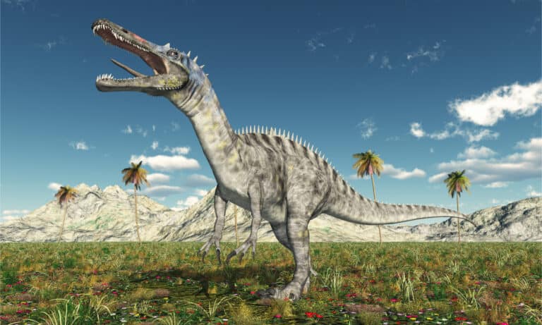 3D computer rendering of suchomimus in a prehistoric landscape