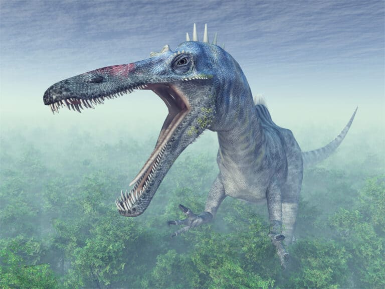 3D computer illustration of suchomimus in a forest displaying its formidable teeth
