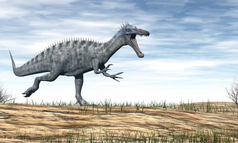 3D rendering of Suchomimus running in desert