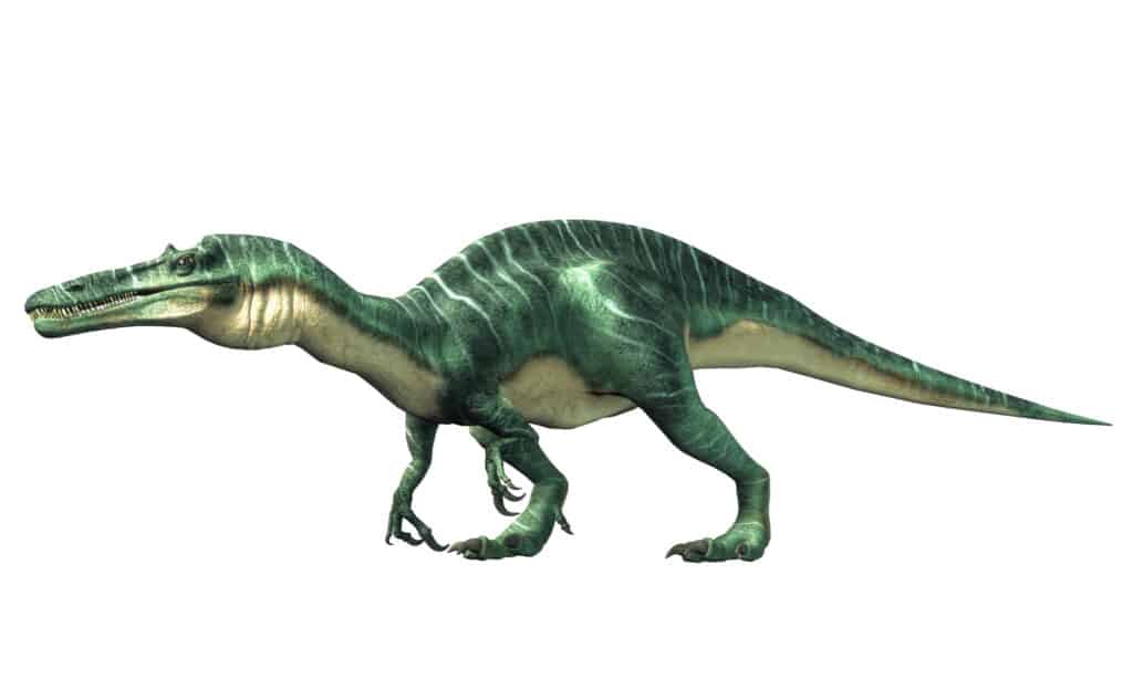 3D rendering of suchomimus on white background
