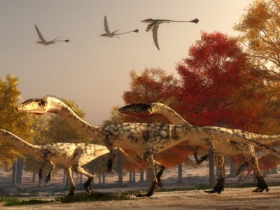A The Triassic Period: Animals, Plants, And When it Happened