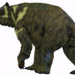 Short-faced bear