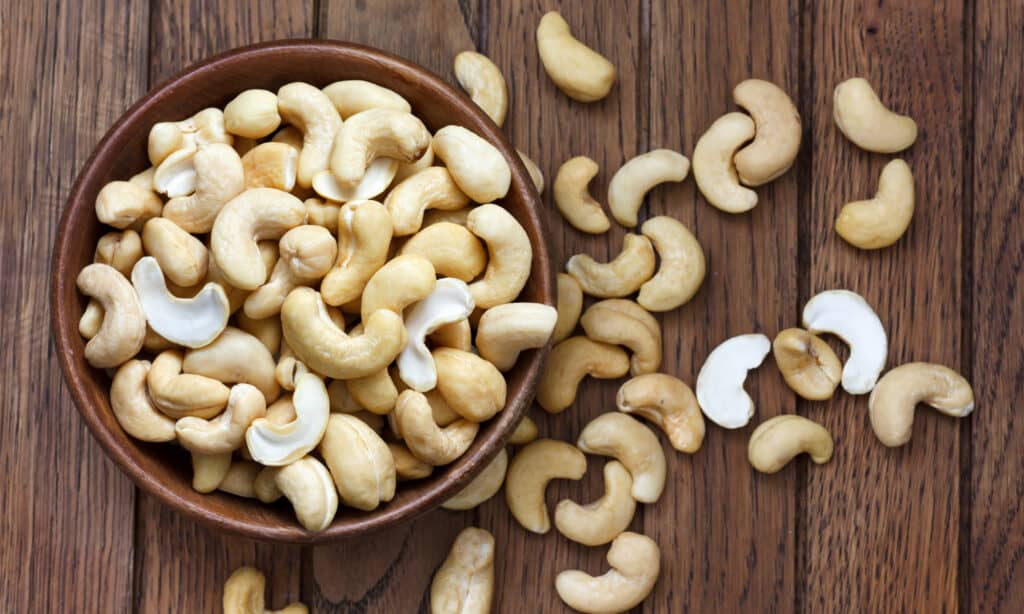 are cashews safe for a dog to eat