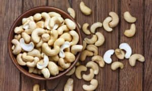 Can Dogs Eat Cashews Safely? What You Should Know Picture
