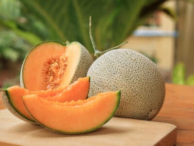 A Tuscan Melon vs. Cantaloupe: The Key Differences