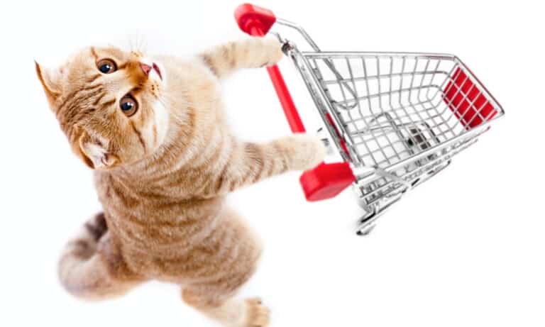 Cat pushing a shopping cart against a white background