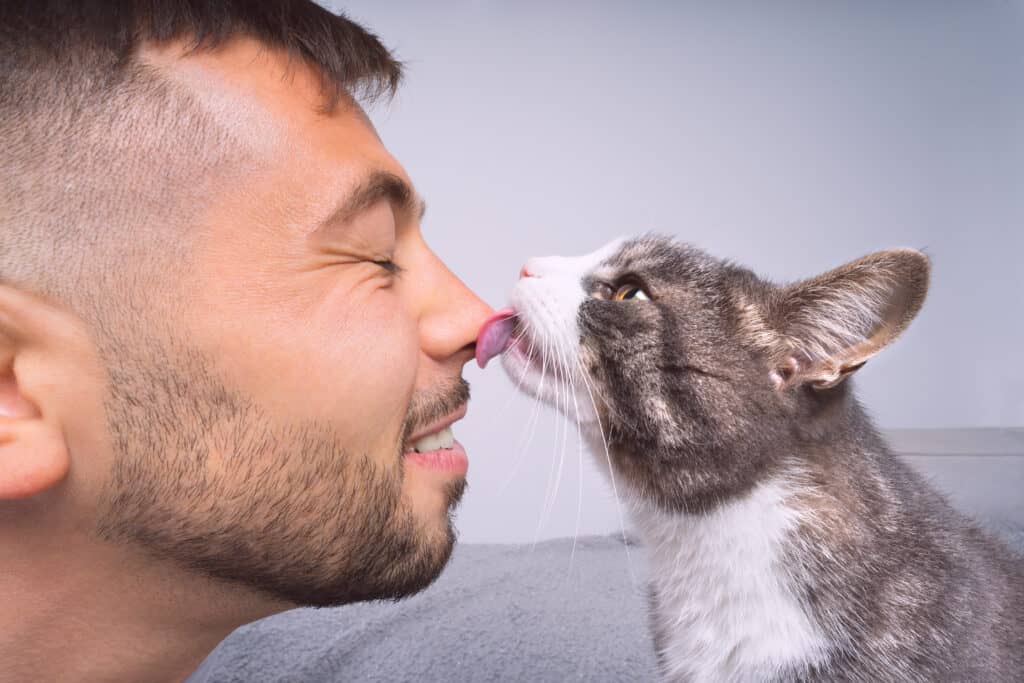 cat licking owner