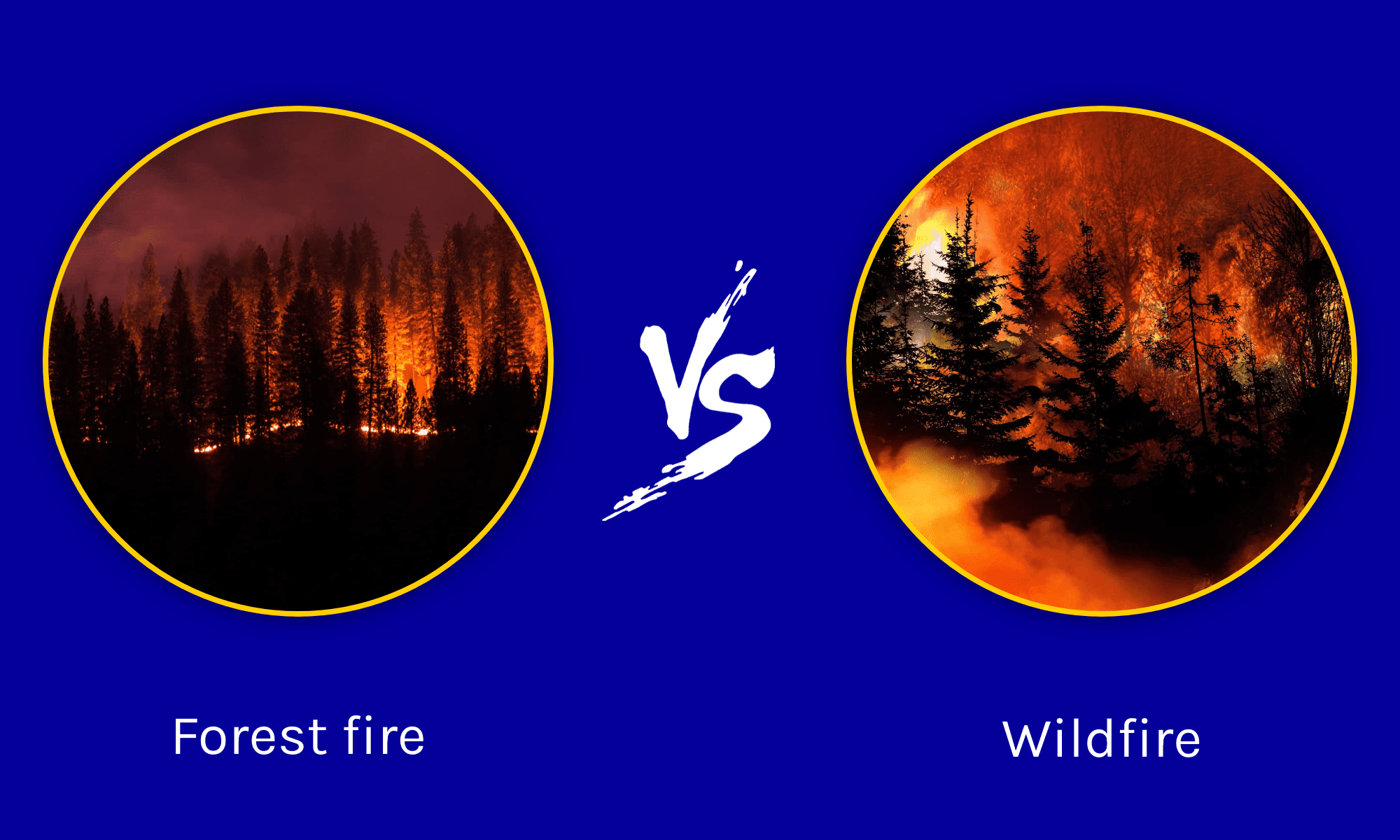 What Are The Control Measures Of Forest Fire