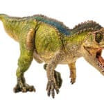 Ceratosaurus