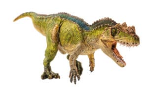 Ceratosaurus photo