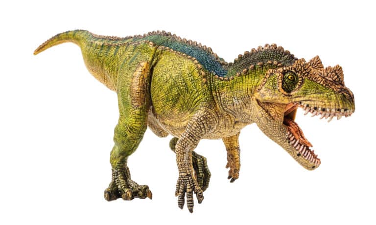 3D rendering of ceratosaurus on white background