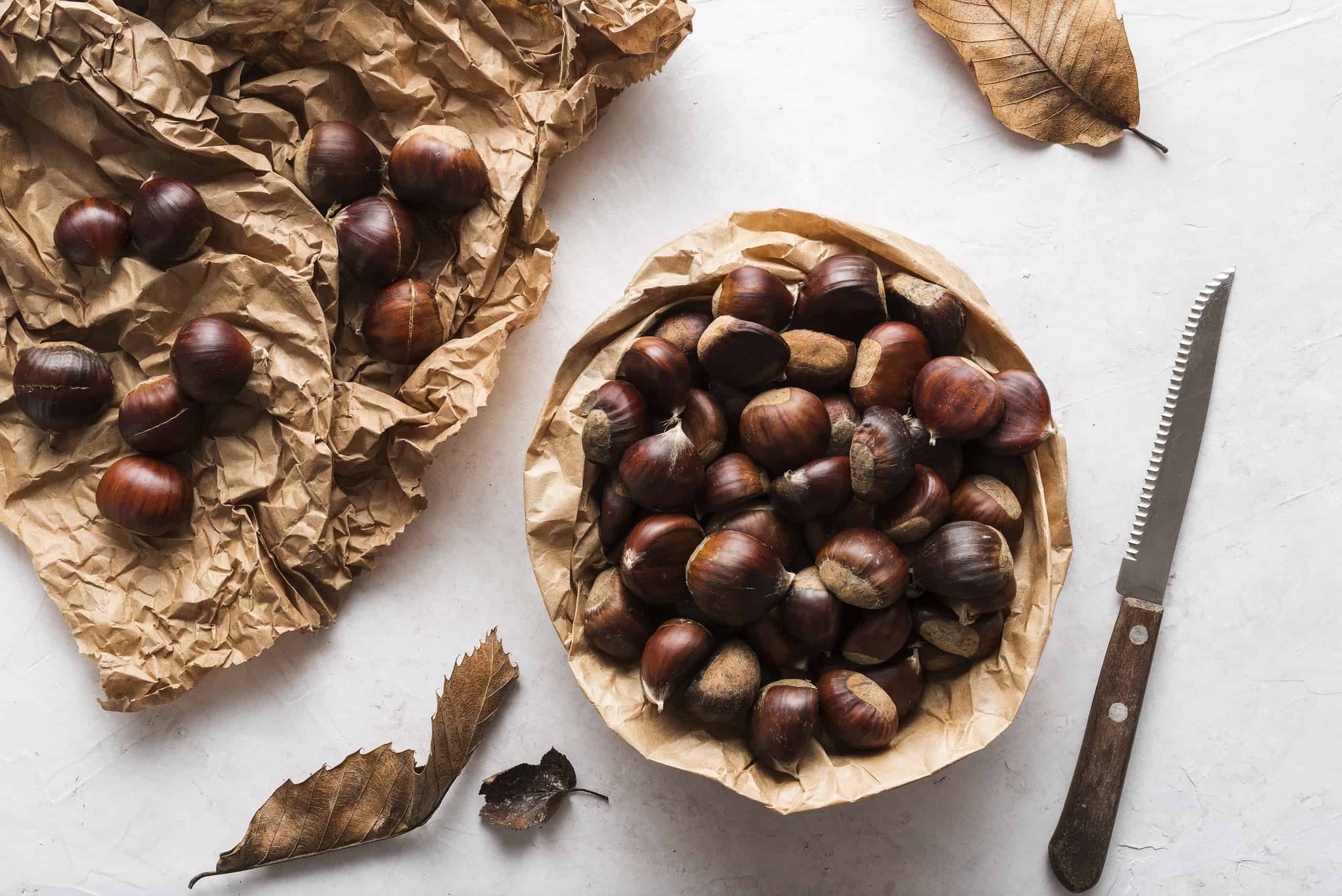 are chestnuts safe for dogs