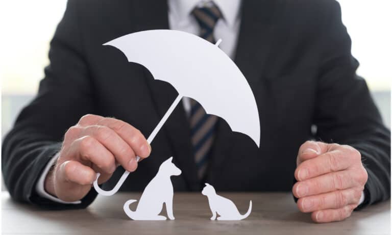 Man in a suit and tie holding a cut out of an umbrella over a cut out dog and cat