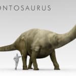 Brontosaurus