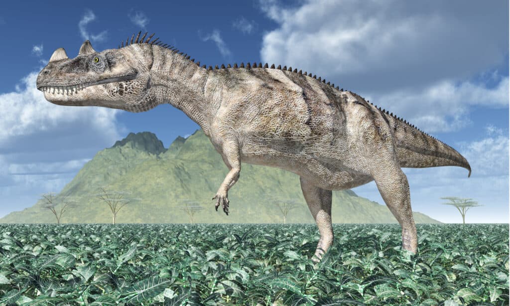 3D rendering of ceratosaurus in a prehistoric landscape