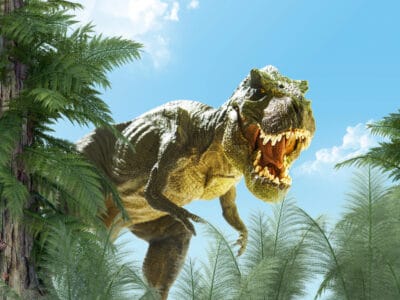 A Epic Battles: The Largest Alligator Ever vs. a T-Rex