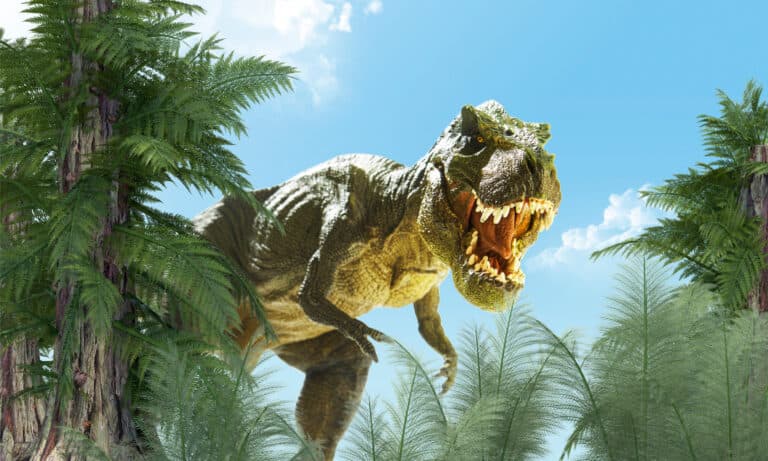 3D rendering of a T-rex in a forest of palm-like trees