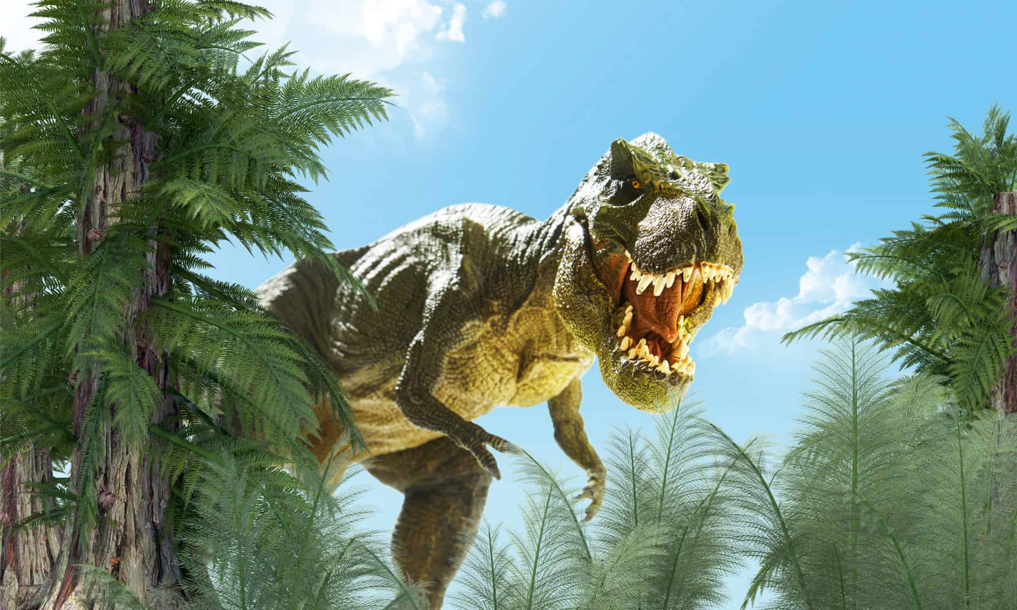 3D rendering of a T-rex in a forest of palm-like trees