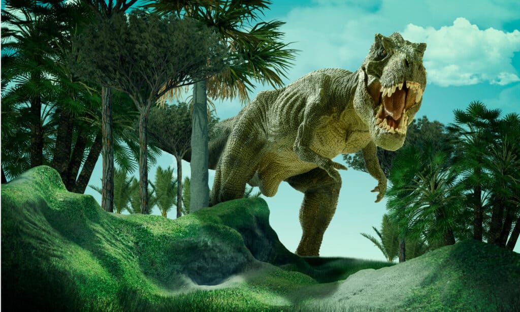 Tyrannosaurus rex stomping through a prehistoric landscape