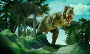 14 Dinosaurs that Lived in Texas (And Where to See Fossils Today) Picture