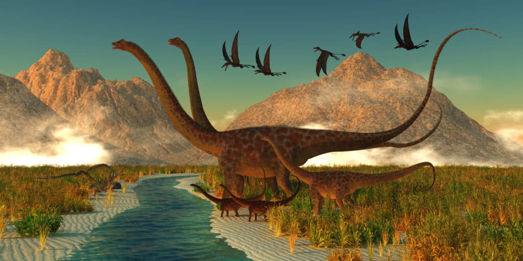 The Diplodocus often traveled in herds of up to 100