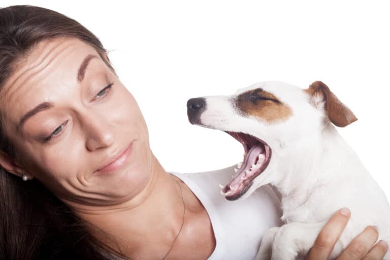 dog breath