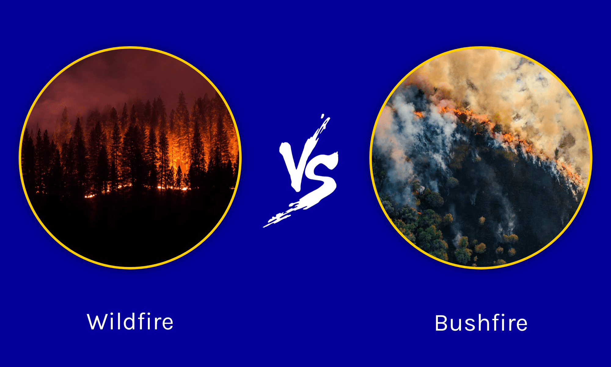 wildfire-vs-bushfire-what-s-the-difference-w3schools