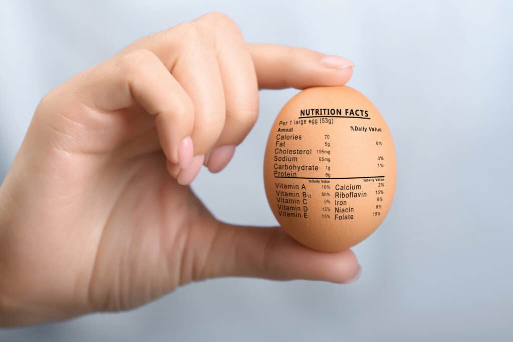 egg nutrition facts