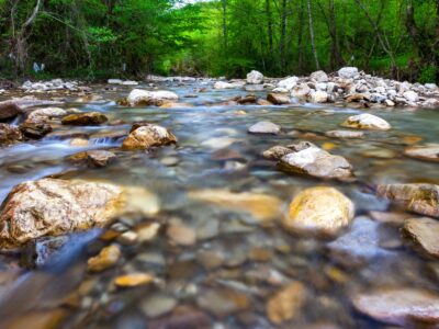 A What’s the Difference: River vs Creek Explained