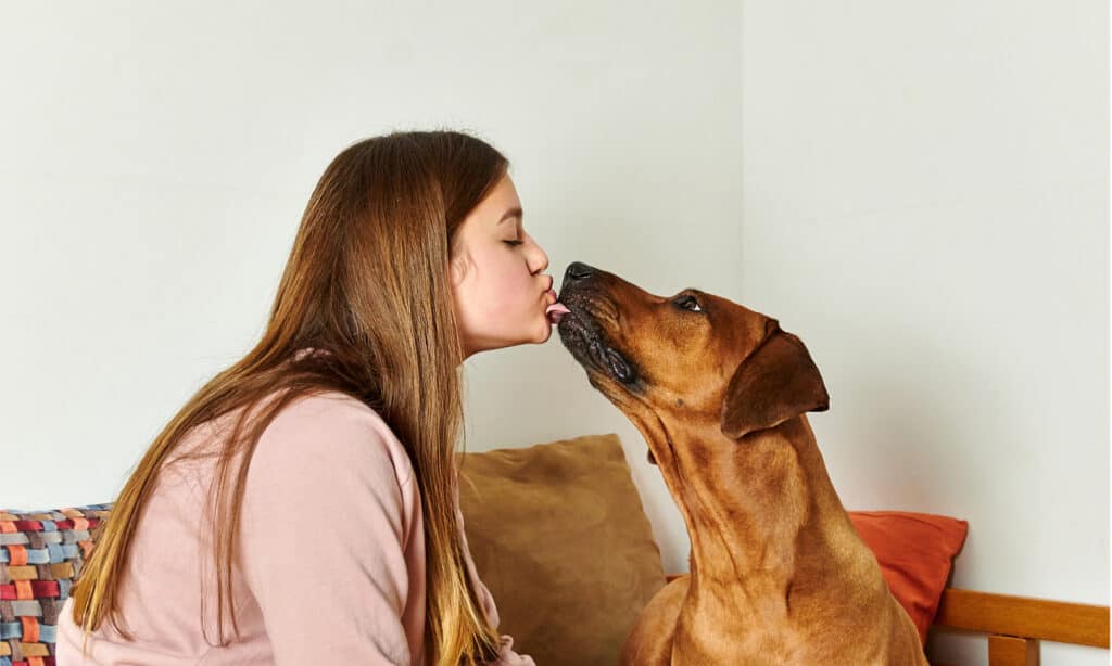 Young woman being licked face by her dog