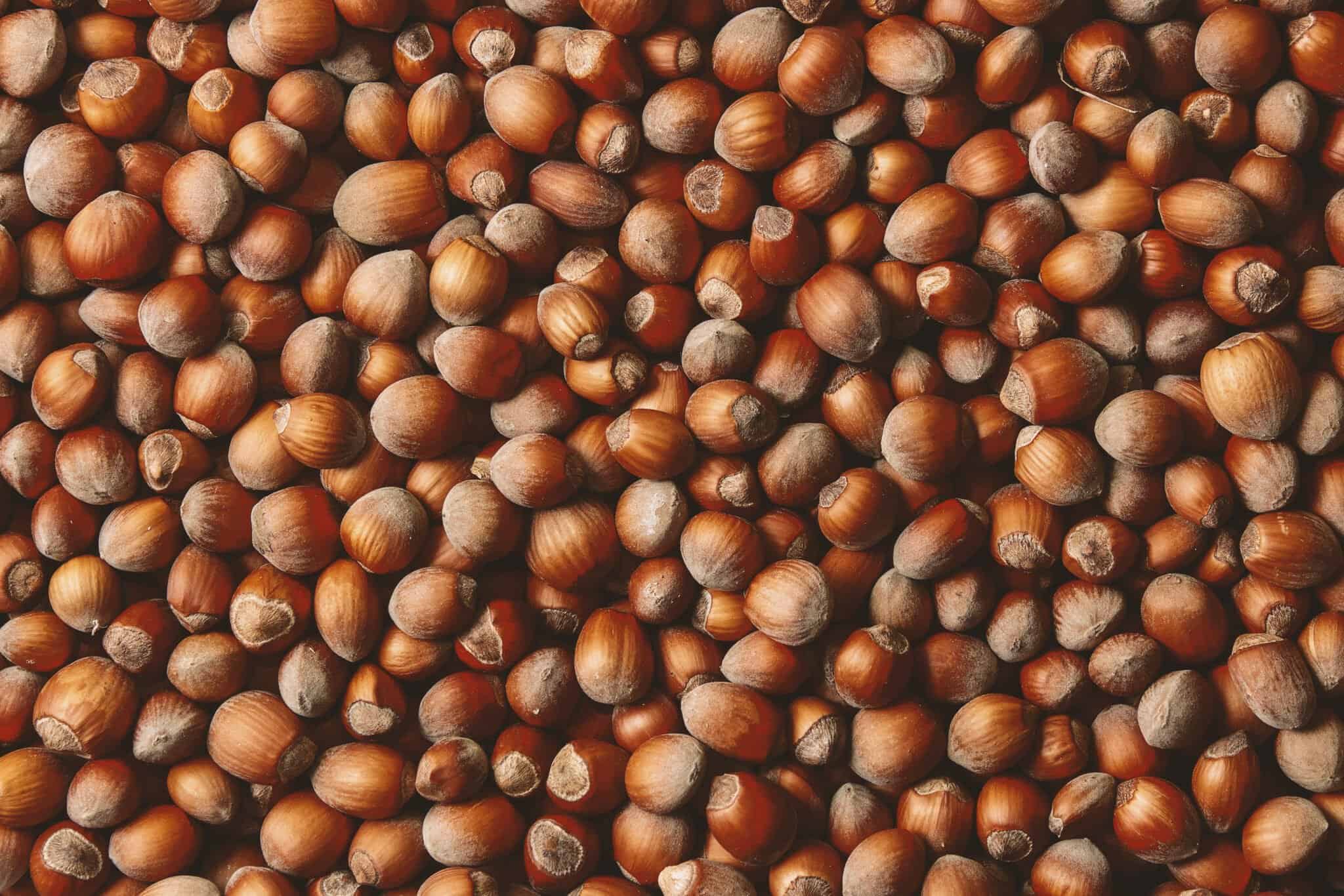 5 Nuts Your Dogs Can Eat Safely, and 4 to Avoid AZ Animals