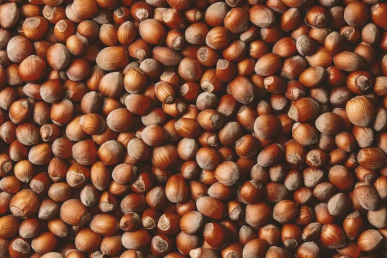 5 Nuts Your Dogs Can Eat Safely, and 4 to Avoid AZ Animals