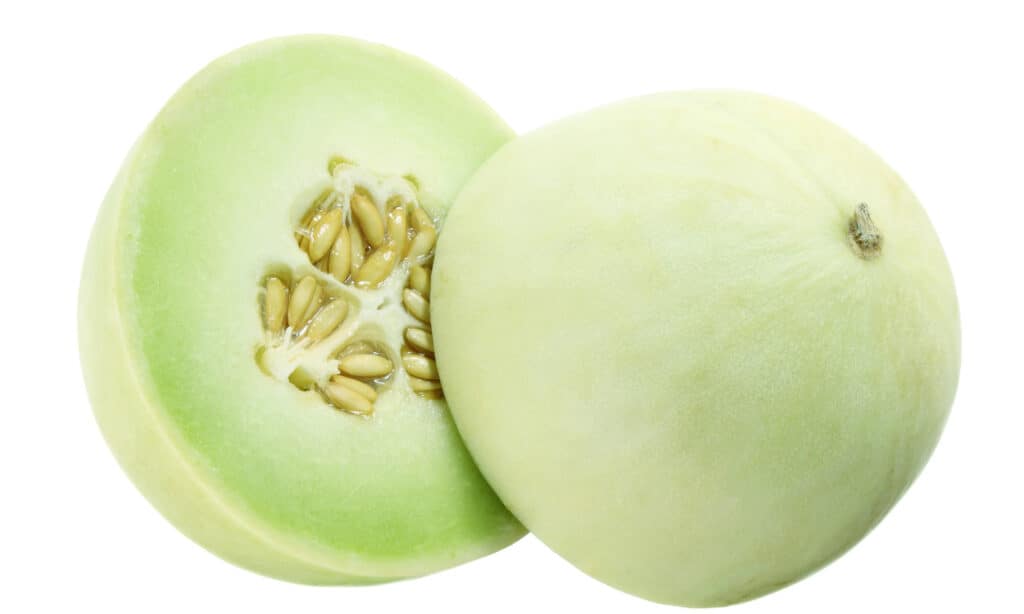 a halved honeydew on a white background