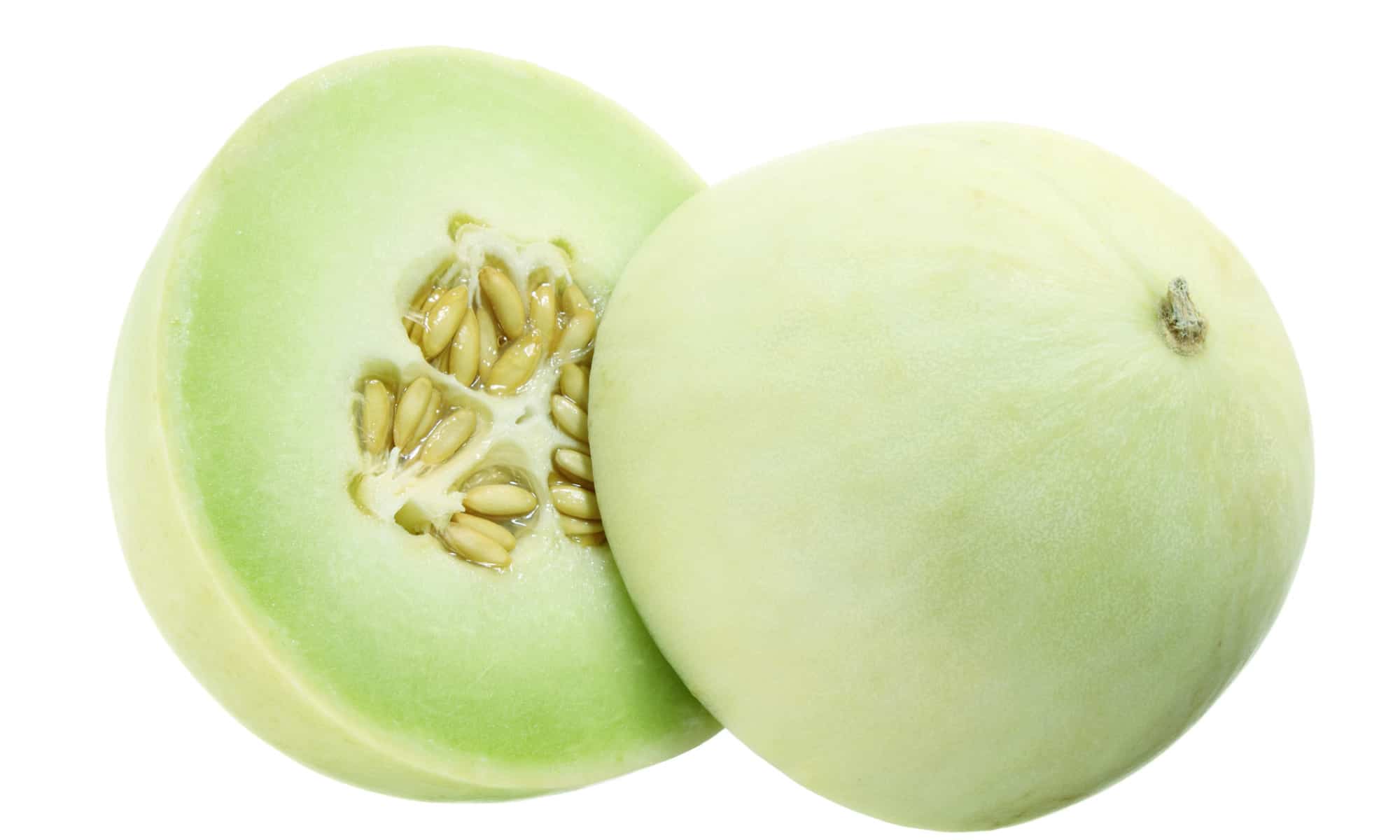 Can Your Dog Eat Honeydew Melon? What About The Rind?