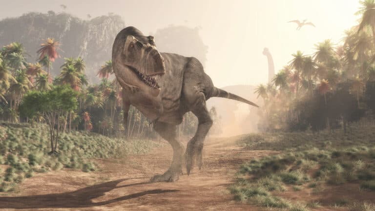 3D rendering of a T-rex running on a dusty path