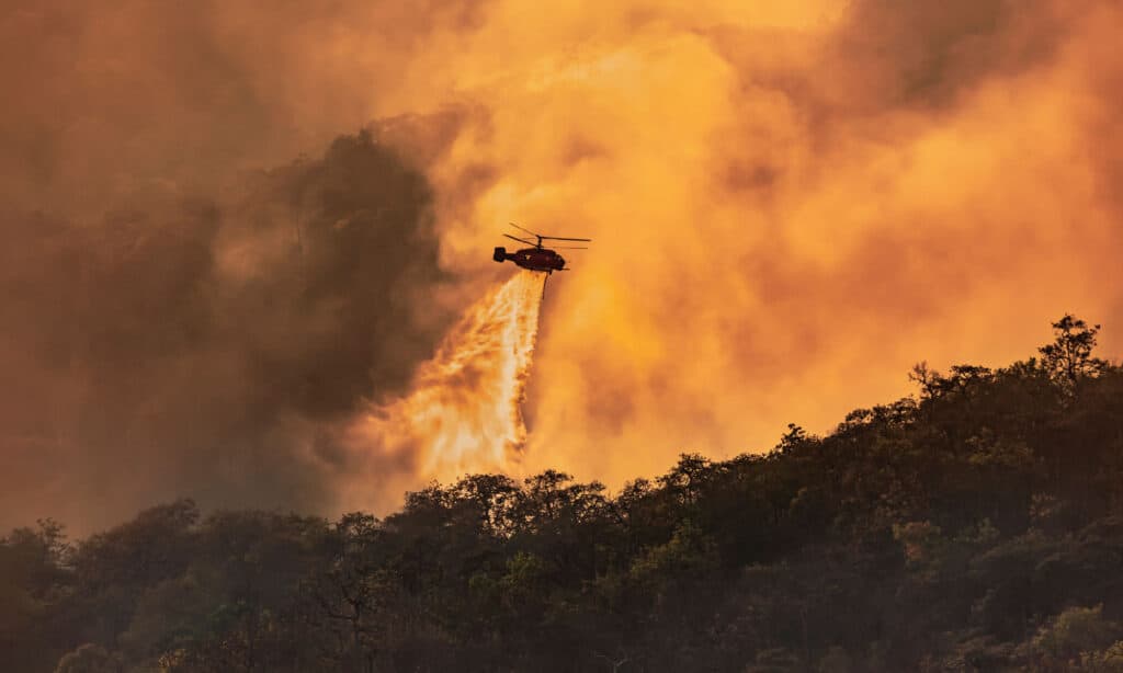 Helicopter dumping water on forest fire