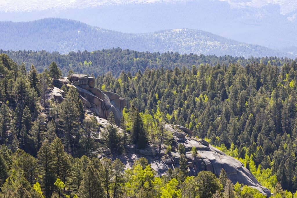 Mueller State Park