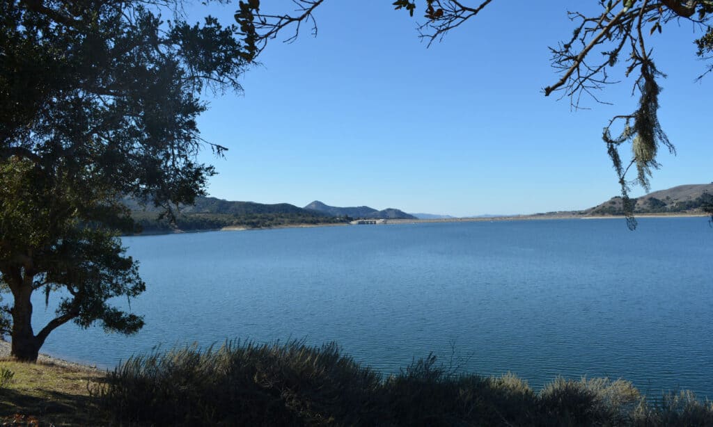 Lake, Park, Mountains, Water, Trees