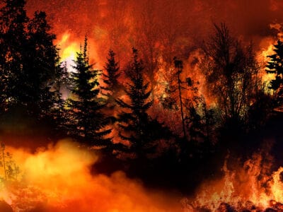 A Horrifying ‘Firenado’ Forming in California Looks Like Marvel Movie Disaster Scene