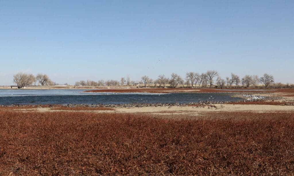 Barr Lake State Park