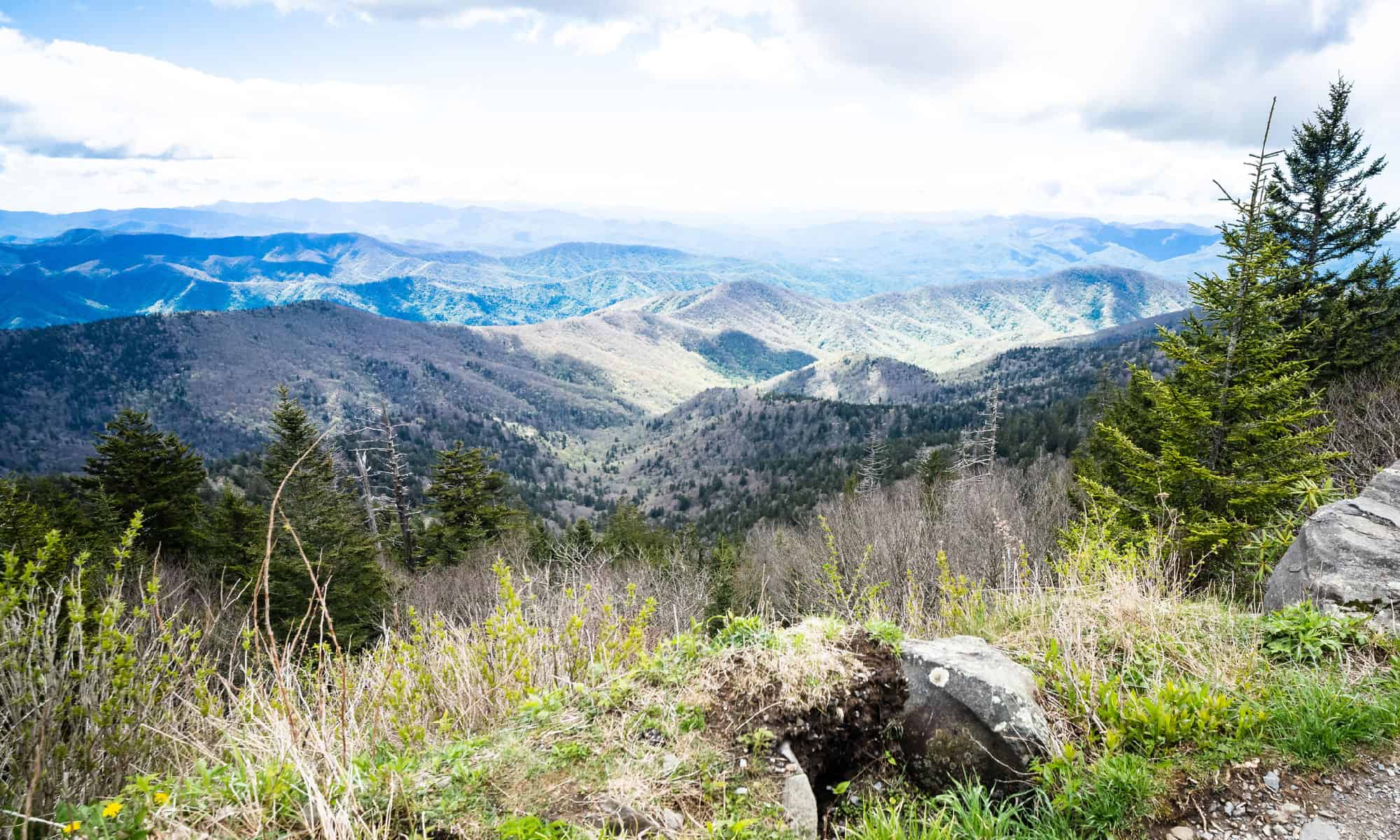 Clingman's Dome