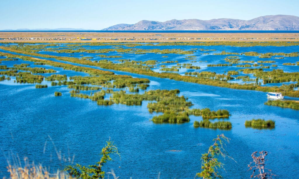 Lake Titicaca, Peru