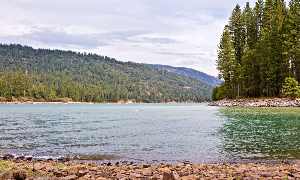 Bass Lake California